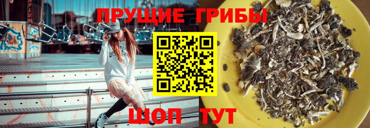 Вязники  Галлюциногенные грибы мицелий  Вход с VPN 